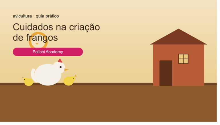 Cuidados na Criação de Frangos